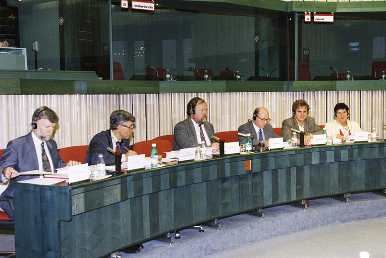 Valokuva 6: STOA meeting in Strasbourg