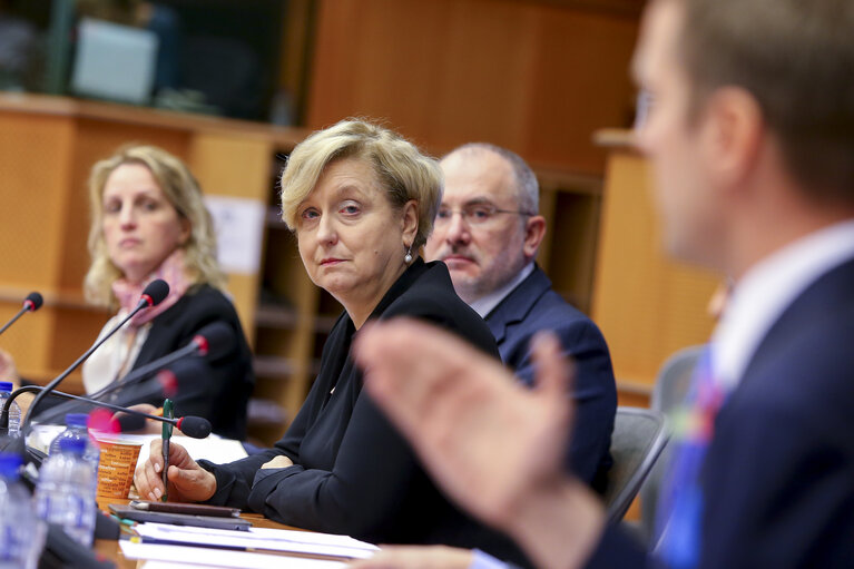 Foto 5: SEDE Public hearing ' Afghanistan: the future of the EUPOL mission '