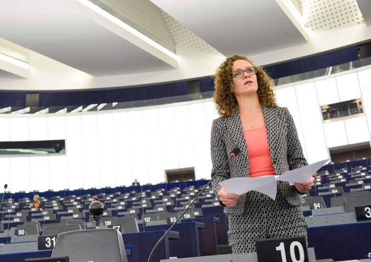 Fotografi 4: Plenary session week 43 2016 in Strasbourg - EU mechanism on democracy, the rule of law and fundamental rights.