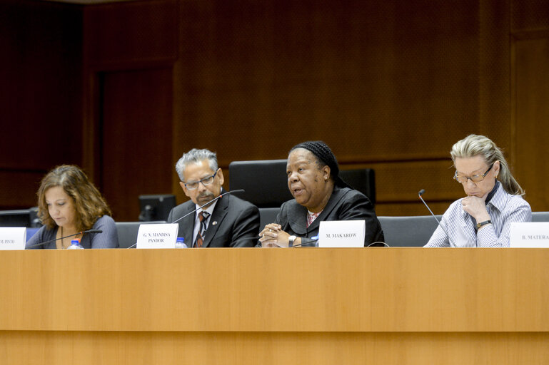 Photo 14 : FEMM Committee meeting hosting Gender Summit