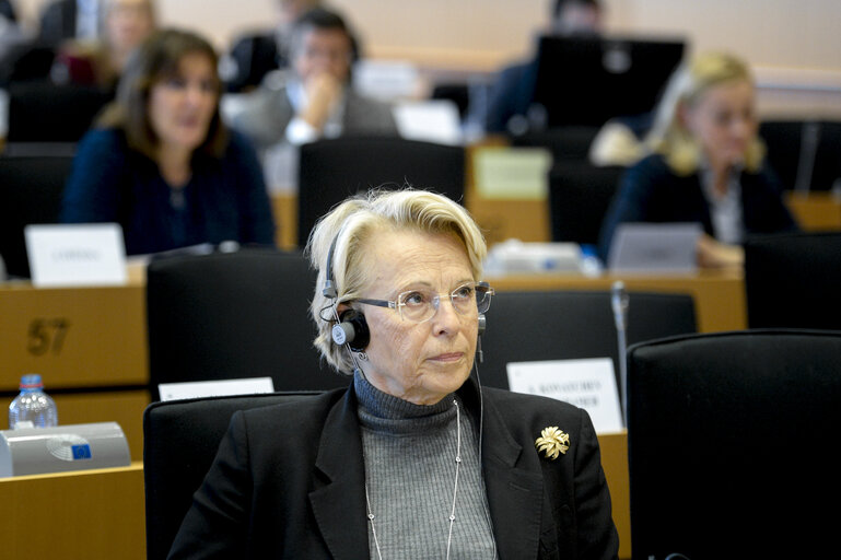 Fotografia 1: AFET committee meeting with Chairman of the Presidency of Bosnia and Herzegovina