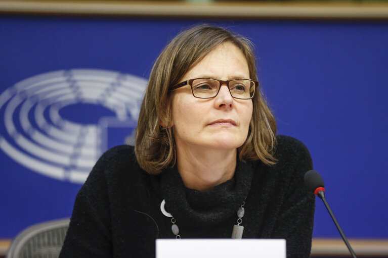 Meeting ' The ECB's non-standard monetary policy measures: how do they work? '