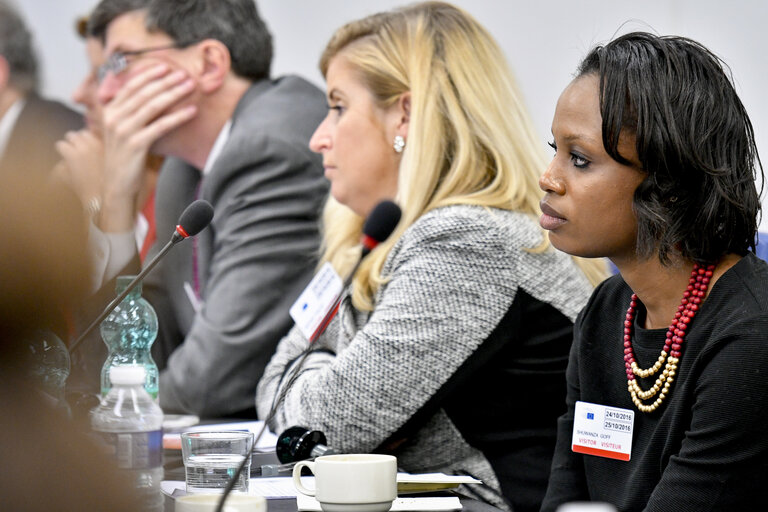 Fotografie 4: Meeting of High-level US Congressional staff