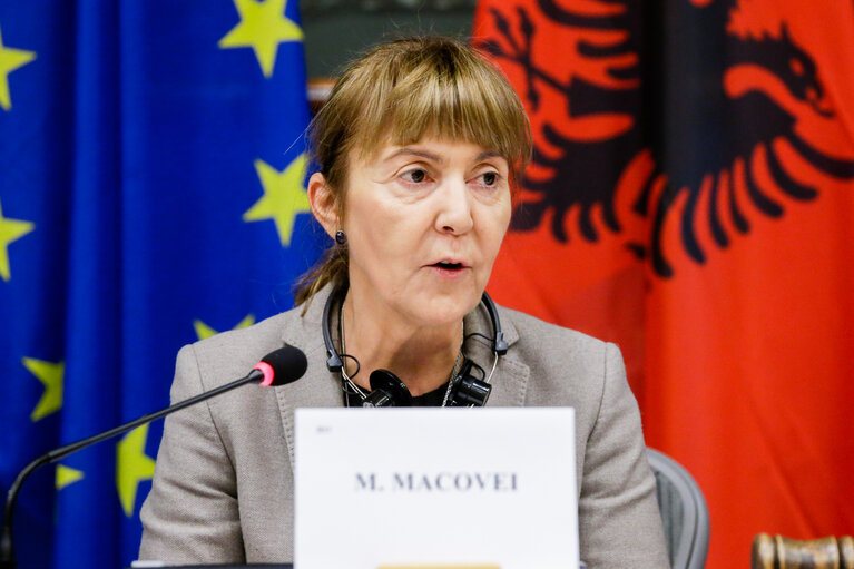 Fotografija 15: 11th EU-Albania Stabilisation and Association Parliamentary Committee meeting (SAPC)