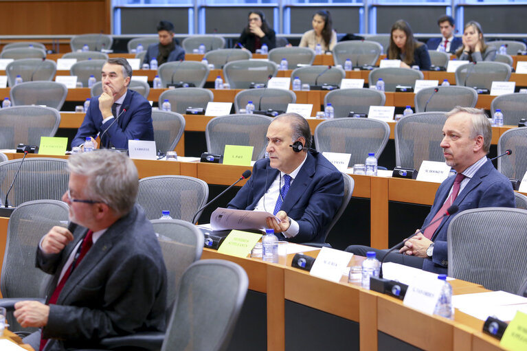 Foto 8: SEDE Public hearing ' Afghanistan: the future of the EUPOL mission '