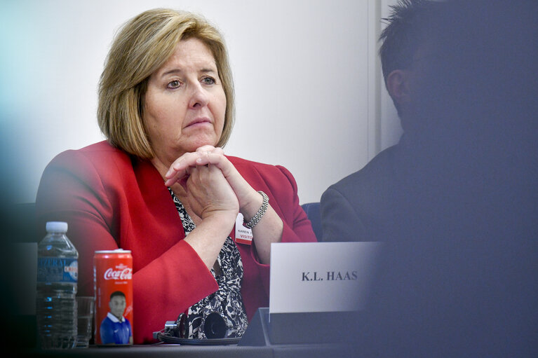 Fotografie 9: Meeting of High-level US Congressional staff