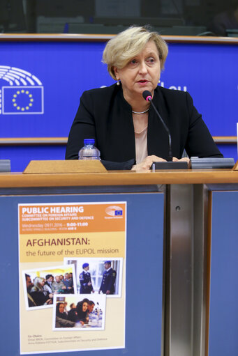 Fotografija 3: SEDE Public hearing ' Afghanistan: the future of the EUPOL mission '