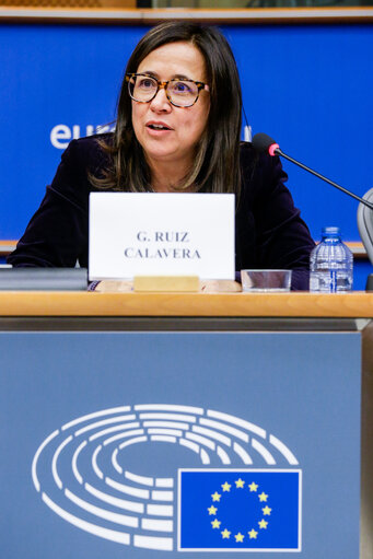 Fotografija 6: 11th EU-Albania Stabilisation and Association Parliamentary Committee meeting (SAPC)