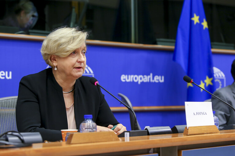 Fotografija 4: SEDE Public hearing ' Afghanistan: the future of the EUPOL mission '