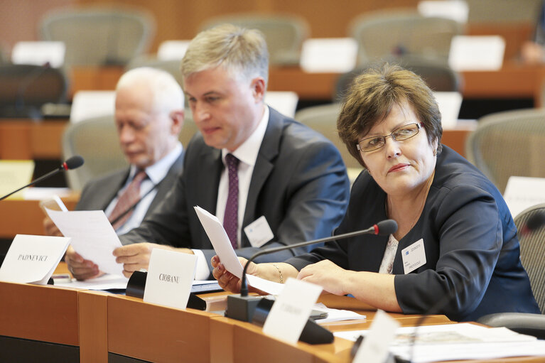 Foto 13: EU-Moldova Delegation parliamentary association committee