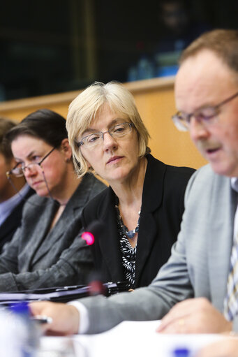 Photo 3: DEVE committee meeting.  The priorities of the Luxembourgish Presidency for humanitarian aid - discussion.