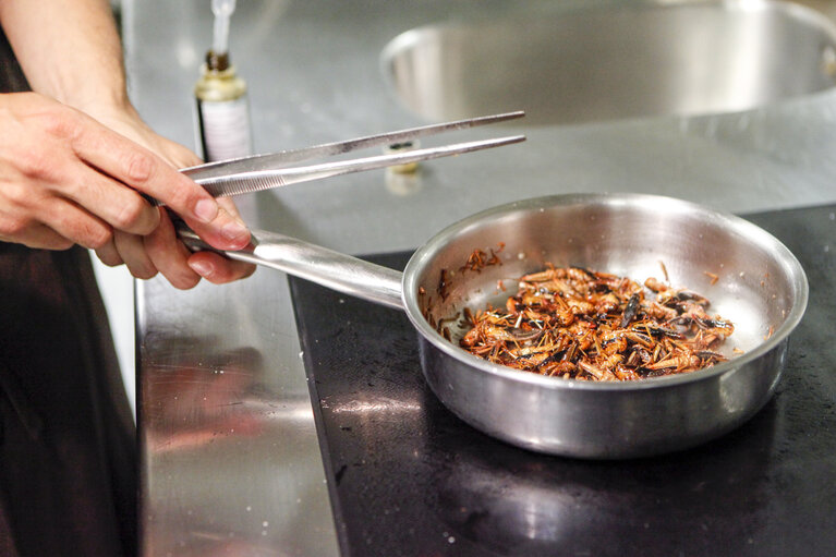 Photo 8 : Novel Food. What will we be eating in 2025 ? Preparation of dishes by the Head Chef of Nordic Food Lab