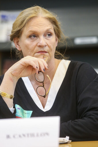 Foto 5: EPRS - roundtable : ' INEQUALITIES IN EUROPE '