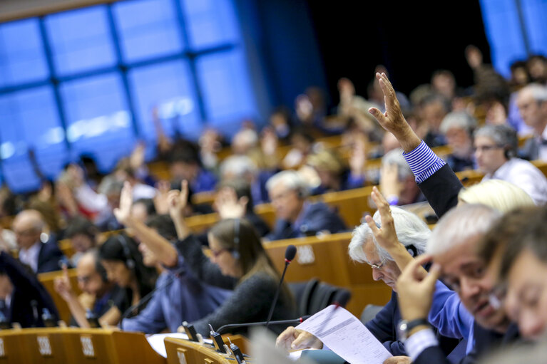 Fotografie 50: Plenary Session week 38 2015 in Brussels: Resumption of session and order of business. Votes