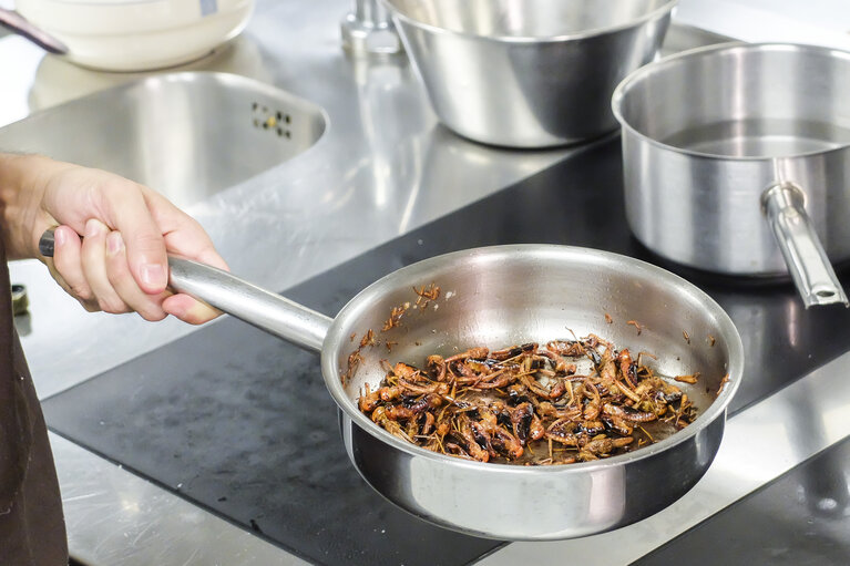 Photo 4 : Novel Food. What will we be eating in 2025 ? Preparation of dishes by the Head Chef of Nordic Food Lab