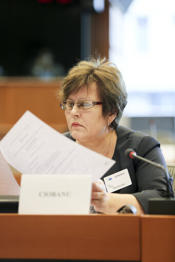 Photo 17 : EU-Moldova Delegation parliamentary association committee