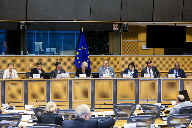 Fotografia 8: DEVE committee meeting.  The priorities of the Luxembourgish Presidency for humanitarian aid - discussion.