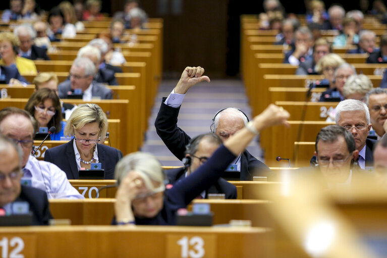 Fotografi 47: Plenary Session week 38 2015 in Brussels: Resumption of session and order of business. Votes