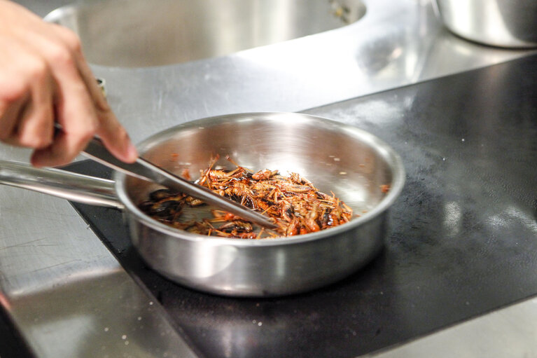 Photo 9 : Novel Food. What will we be eating in 2025 ? Preparation of dishes by the Head Chef of Nordic Food Lab