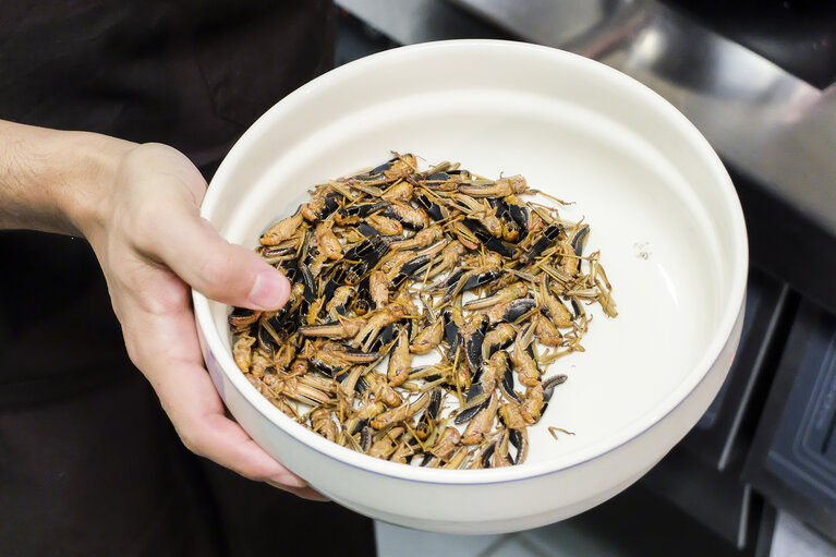 Photo 7 : Novel Food. What will we be eating in 2025 ? Preparation of dishes by the Head Chef of Nordic Food Lab