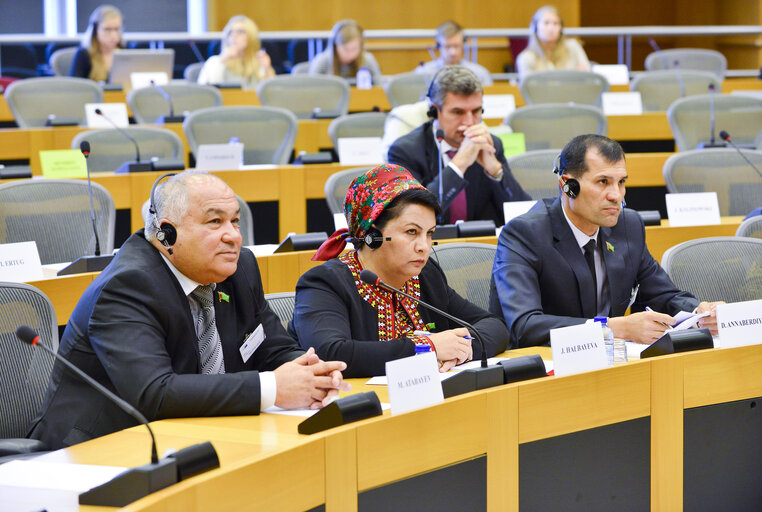 Fotografia 10: 3rd EU-Turkmenistan Interparliamentary Meeting