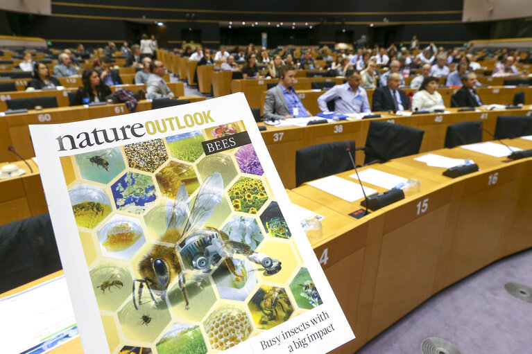 Fotografie 11: European Bee Week: Conference