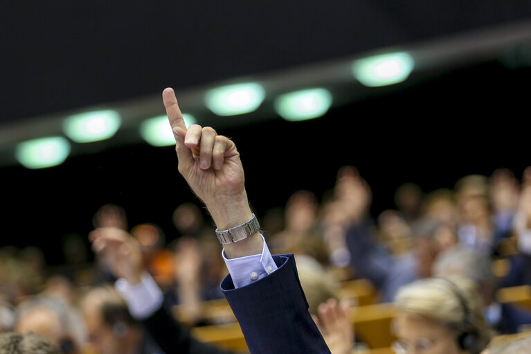 Billede 1: Plenary Session week 38 2015 in Brussels: Resumption of session and order of business. Votes