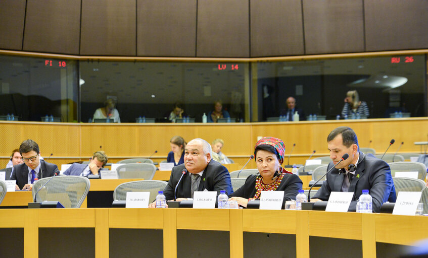 Photo 24: 3rd EU-Turkmenistan Interparliamentary Meeting