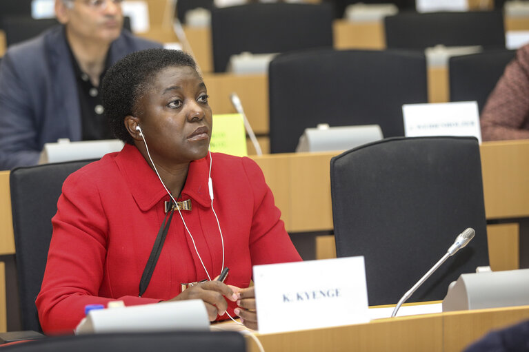 Photo 19 : LIBE - Interparliamentary Committee meeting European Parliament - National Parliaments : 'A holistic approach to migration '