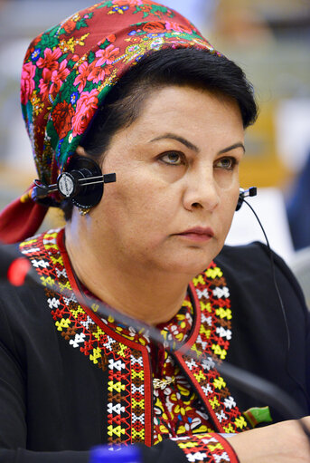 Photo 12: 3rd EU-Turkmenistan Interparliamentary Meeting