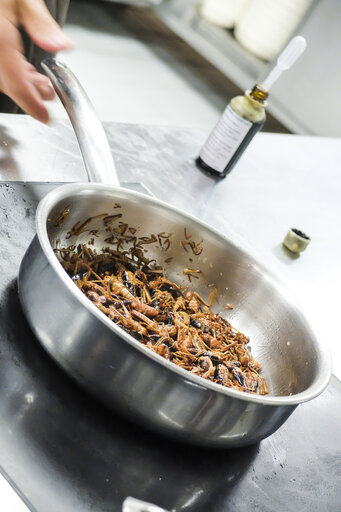 Photo 6 : Novel Food. What will we be eating in 2025 ? Preparation of dishes by the Head Chef of Nordic Food Lab