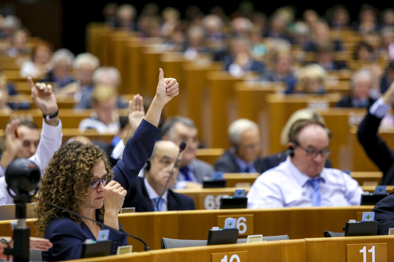 Fotografi 48: Plenary Session week 38 2015 in Brussels: Resumption of session and order of business. Votes