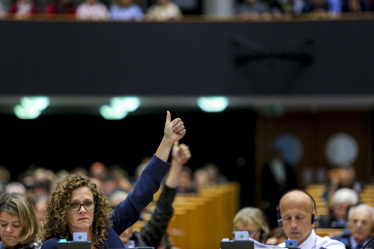 Fotogrāfija 46: Plenary Session week 38 2015 in Brussels: Resumption of session and order of business. Votes