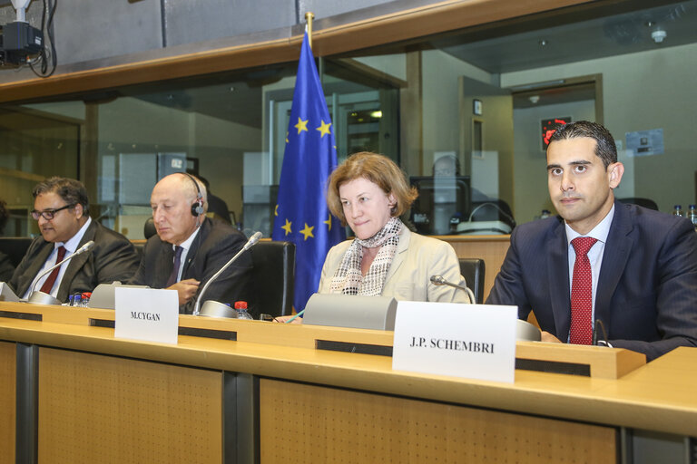 Photo 22 : LIBE - Interparliamentary Committee meeting European Parliament - National Parliaments : 'A holistic approach to migration '