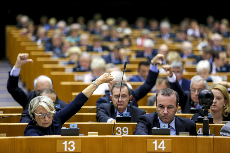 Fotografie 49: Plenary Session week 38 2015 in Brussels: Resumption of session and order of business. Votes