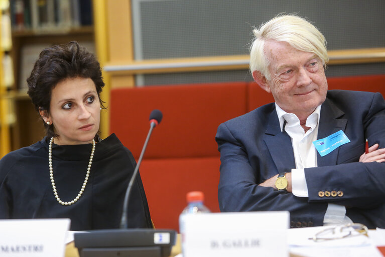 Fotografie 6: EPRS - roundtable : ' INEQUALITIES IN EUROPE '