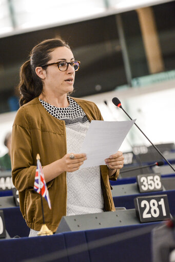 Photo 37: Plenary session week 28 2015 in Strasbourg