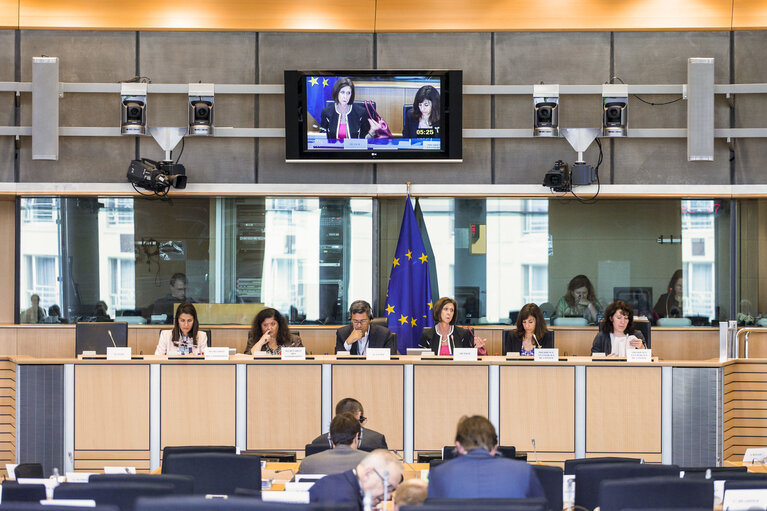 ENVI committee meeting: Exchange of views with the Minister on Health and  Gender Equality of Luxembourg