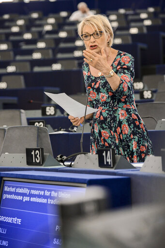 Photo 15 : Plenary session week 28 2015 in Strasbourg