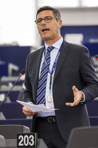 Plenary session week 28 2015 in Strasbourg