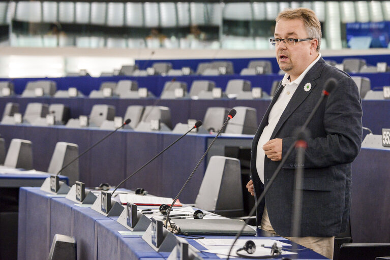 Photo 17: Plenary session week 28 2015 in Strasbourg