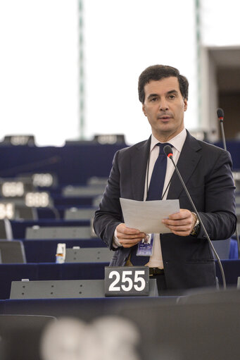 Plenary session week 28 2015 in Strasbourg