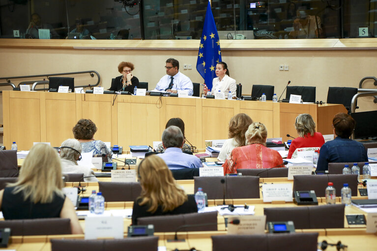 Foto 2: LIBE committee meeting