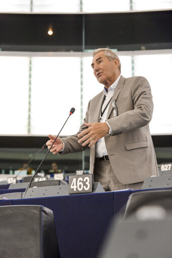 Plenary session week 28 2015 in Strasbourg