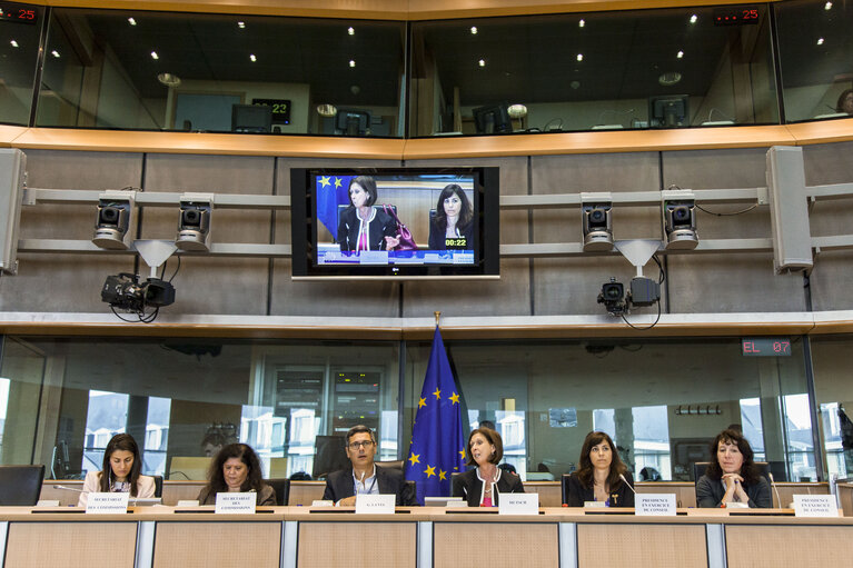 Foto 11: ENVI committee meeting: Exchange of views with the Minister on Health and  Gender Equality of Luxembourg