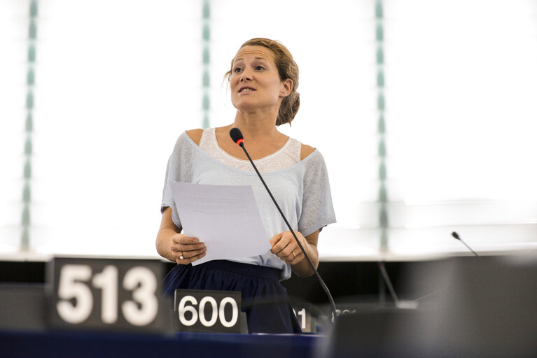 Fotografia 31: Plenary session week 28 2015 in Strasbourg