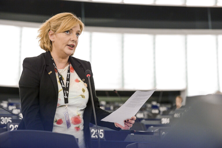 Fotografia 13: Plenary session week 28 2015 in Strasbourg