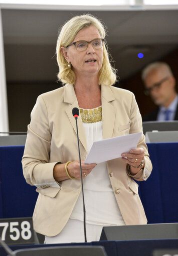 Fotografia 8: Plenary session week 28 2015 in Strasbourg - Resource efficiency: moving towards a circular economy