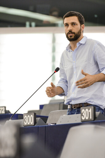 Photo 44 : Plenary session week 28 2015 in Strasbourg