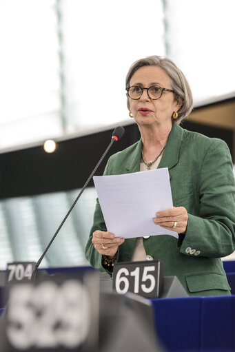 Plenary session week 28 2015 in Strasbourg